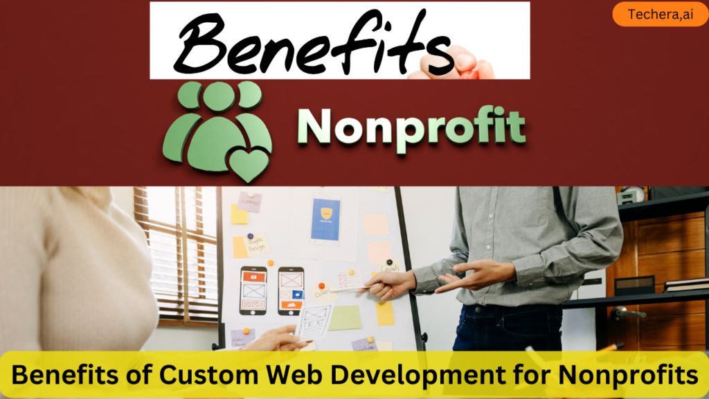 custom web development services