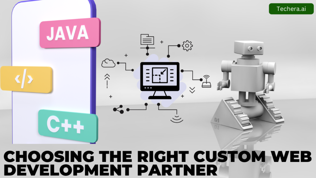 custom web development services