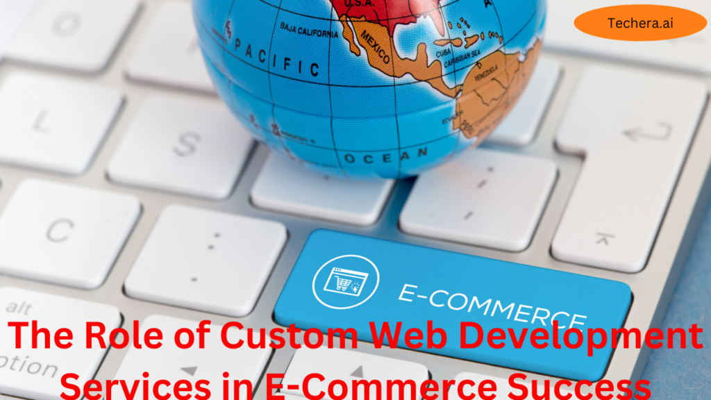 custom web development services