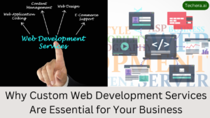 custom web development services