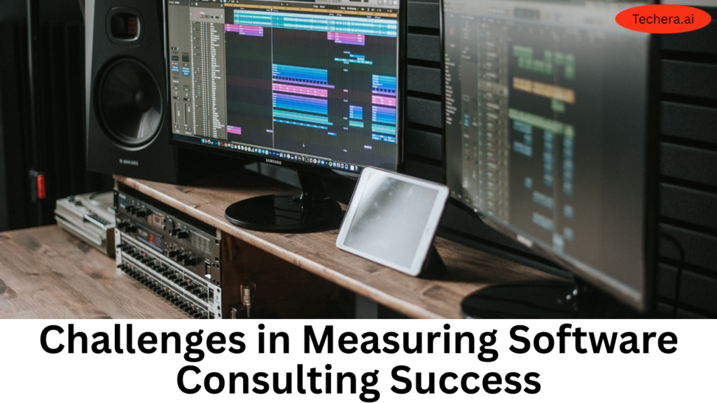 Software consulting
