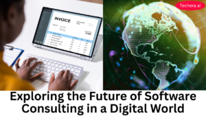 Software consulting