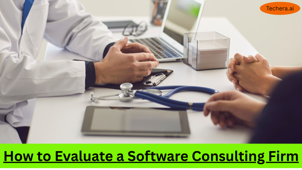 Software consulting