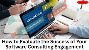 Software consulting