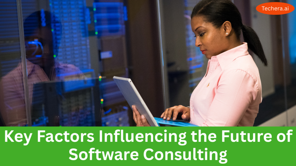Software consulting