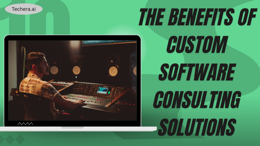 Software consulting