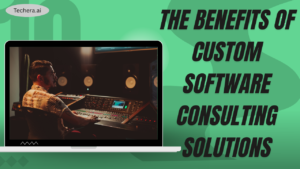 Software consulting