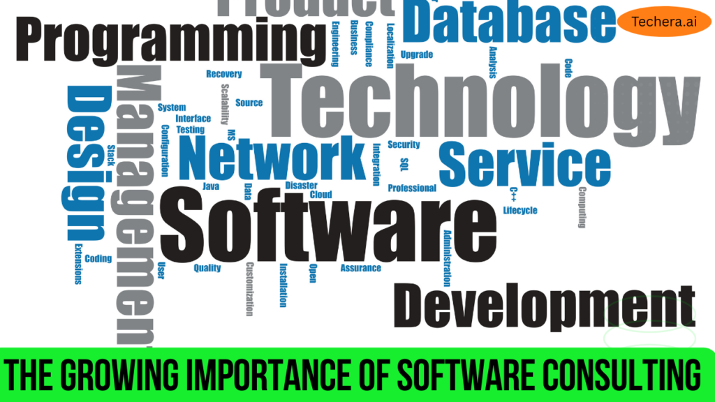 Software consulting