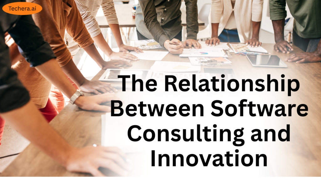 Software consulting