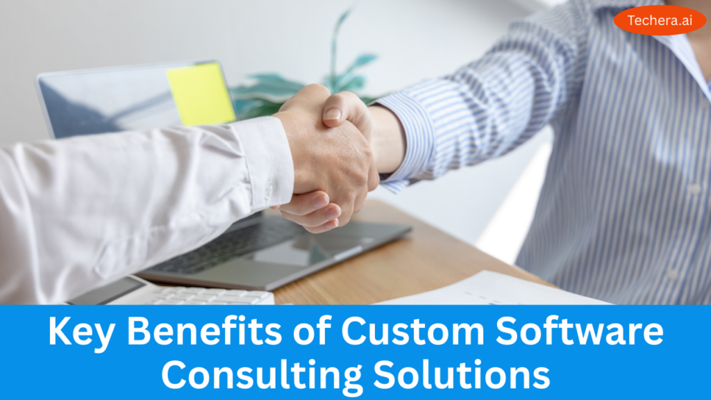 Software consulting