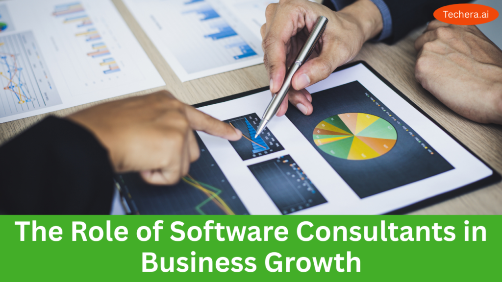 Software consulting