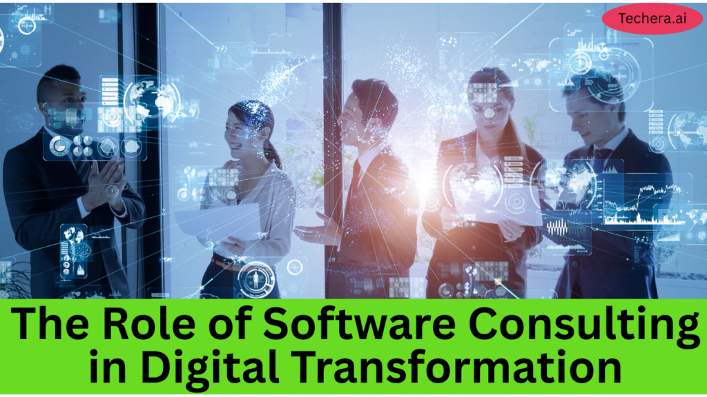 Software consulting