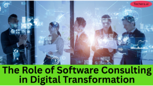 Software consulting