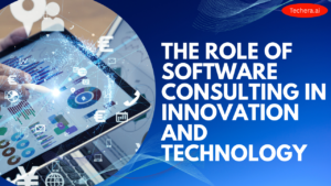 Software consulting