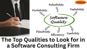 Software consulting