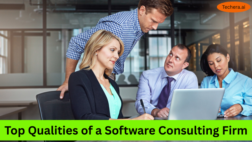 Software Consulting