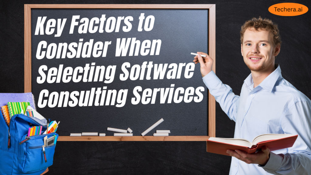 Software consulting