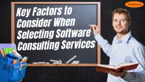 Software consulting