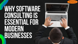 Software consulting