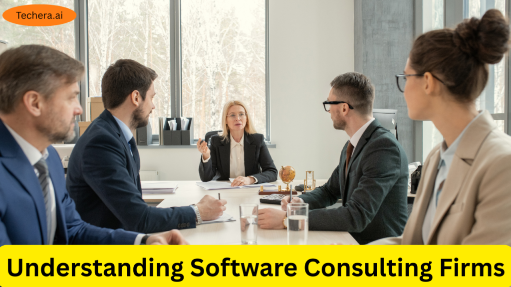 software consulting firm