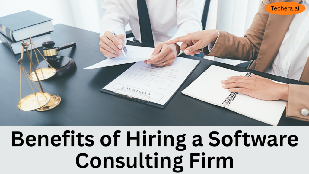 software consulting firm