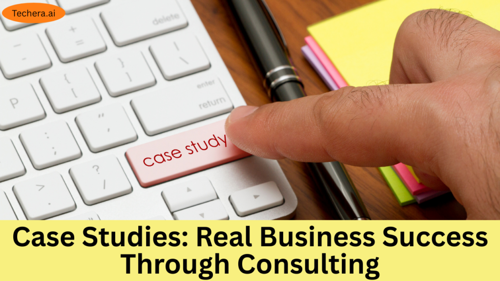 What is Software Consulting