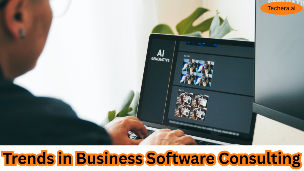 Business Software Consulting