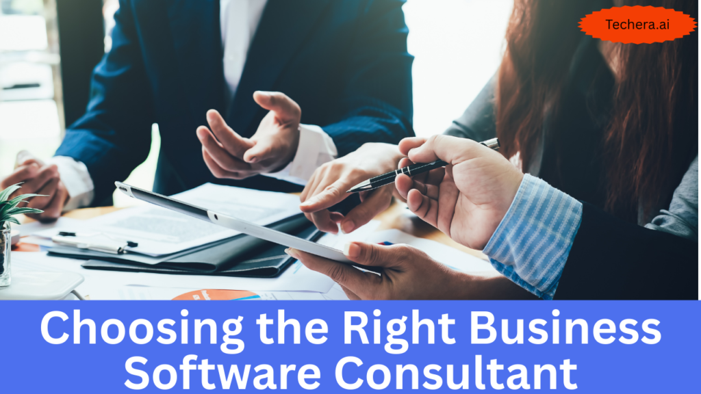 Business software consulting
