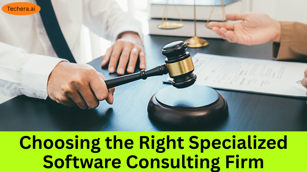 software consulting firm