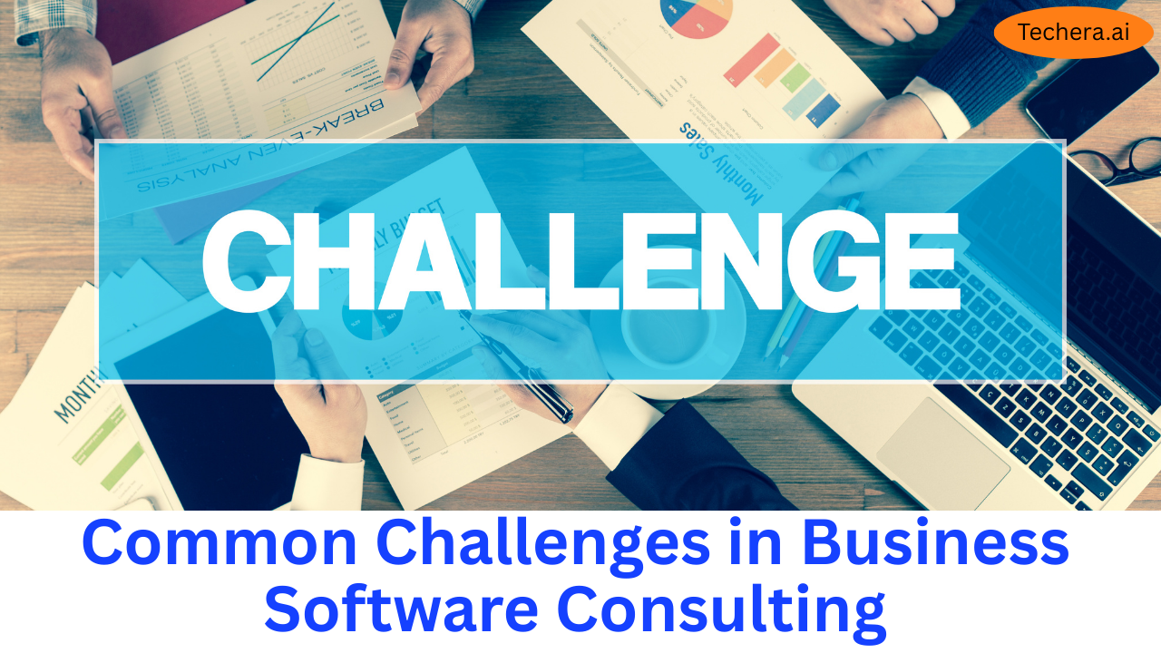 The Most Common Challenges in Business Software Consulting (And How to ...