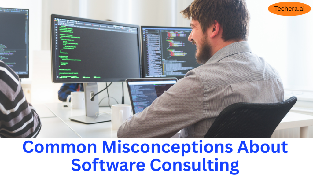 Business software consulting