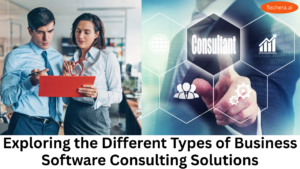 Business software consulting