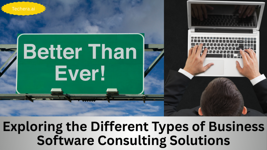 Business software consulting