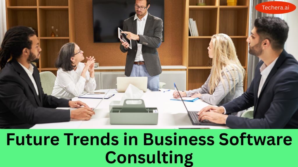 Business software consulting