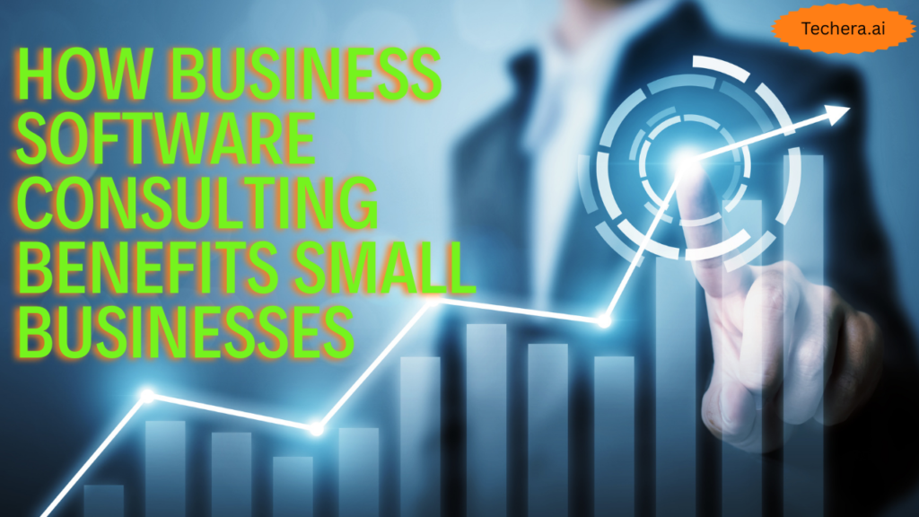 Business software consulting