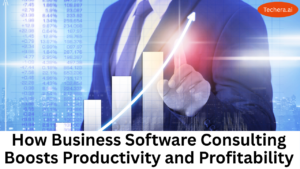 Business software consulting
