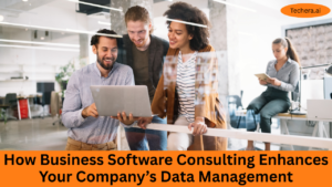 Business Software Consulting
