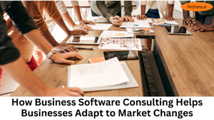 Business software consulting