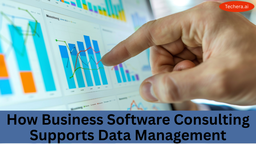 Business software consulting