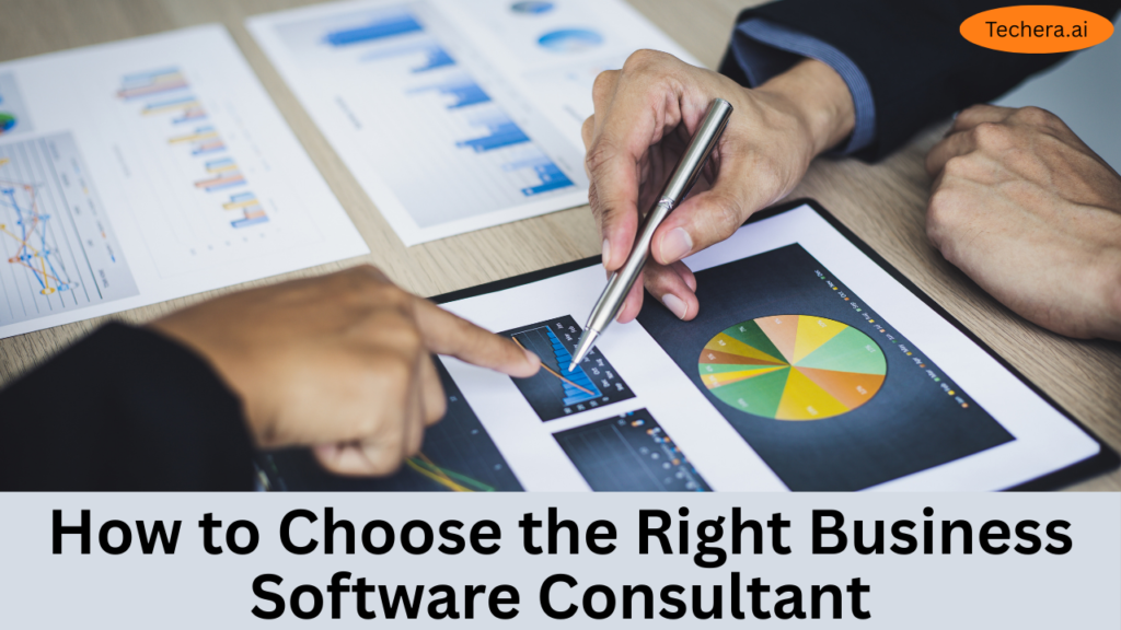 Business software consulting