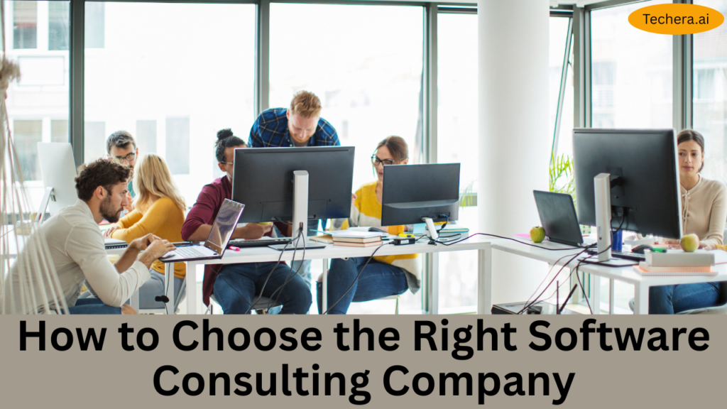 software consulting companies