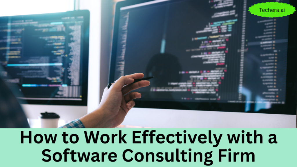 software consulting firm