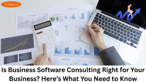 Business software consulting