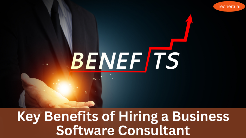 Business software consulting