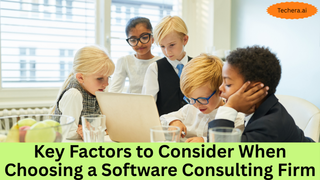 software consulting firm