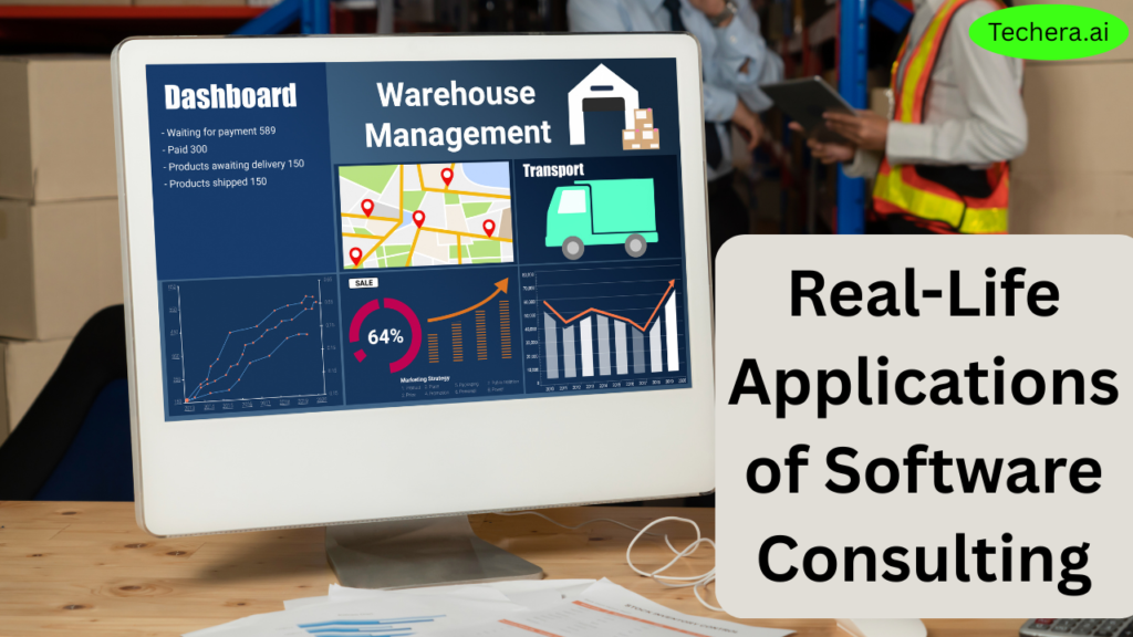 Business Software Consulting