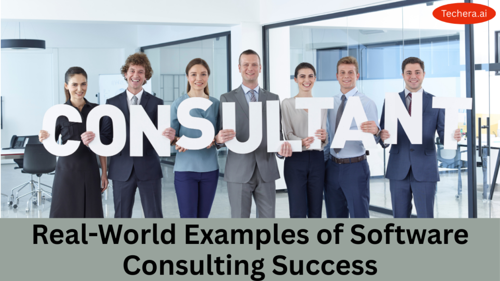 what is software consulting