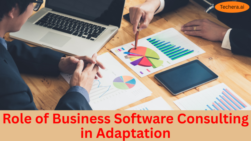 Business software consulting