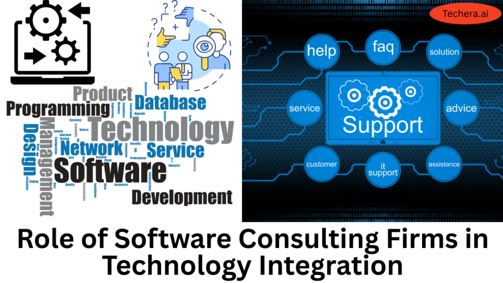 software consulting firm