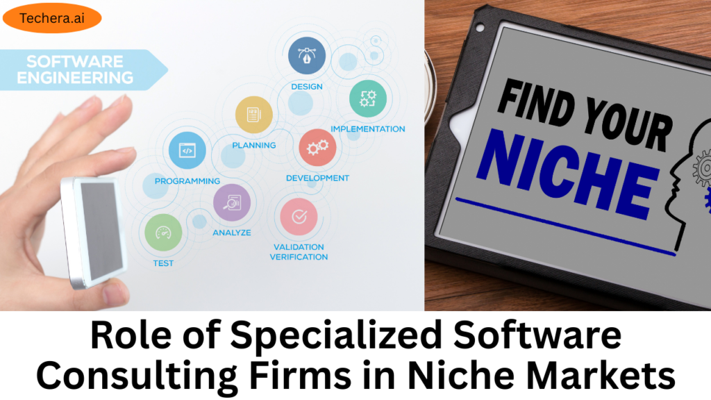 software consulting firm